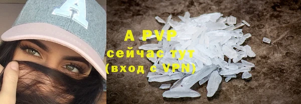 бошки Богданович