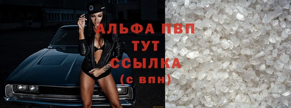 бошки Богданович