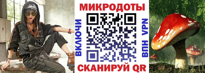 Купить закладки  Первомайск  Псилоцибиновые грибы Psilocybe 